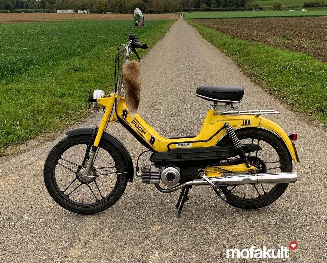 Maxi S von Silvan Maxi S von Silvan