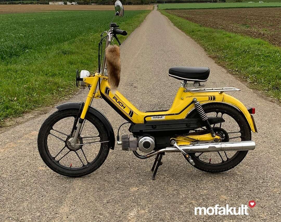 Maxi S von Silvan Maxi S von Silvan