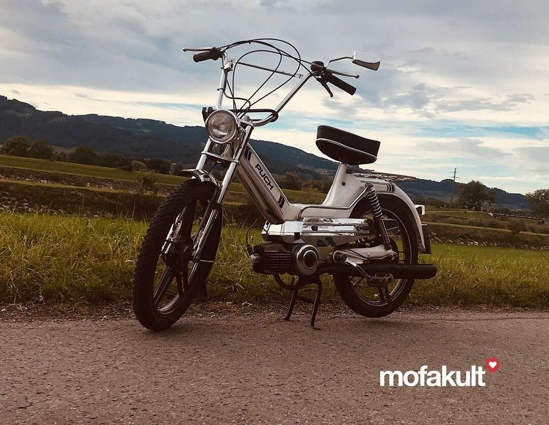 Maxi S von Felix Maxi S von Felix