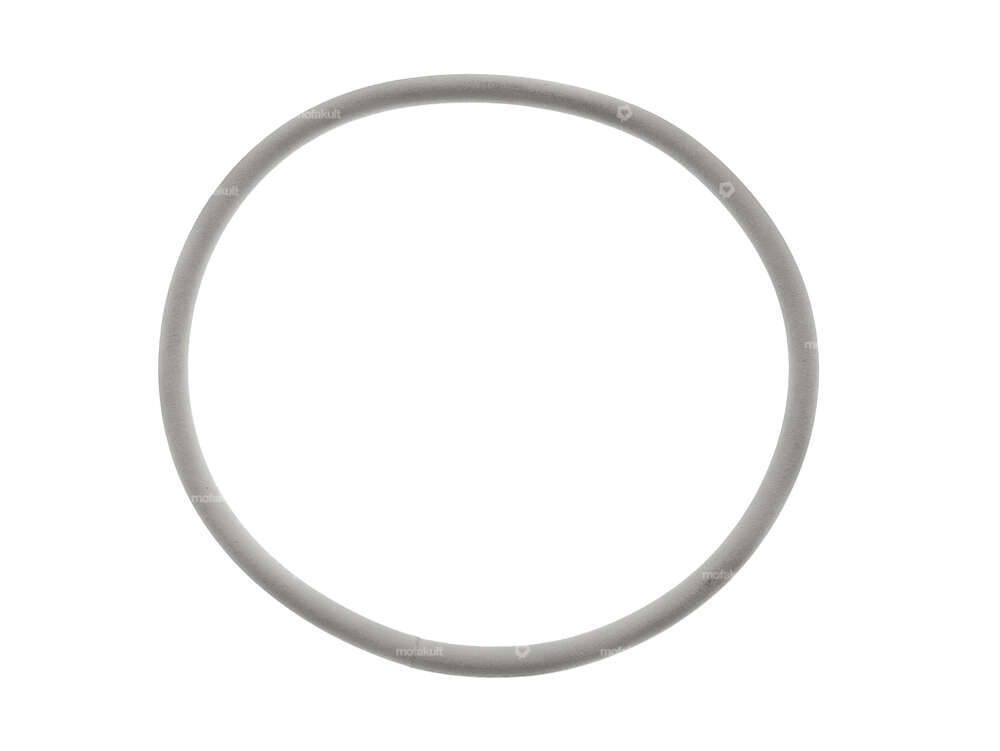 O-ring di tenuta filtro aria | Sachs 503 ADV (A1820) Carousel Image 1