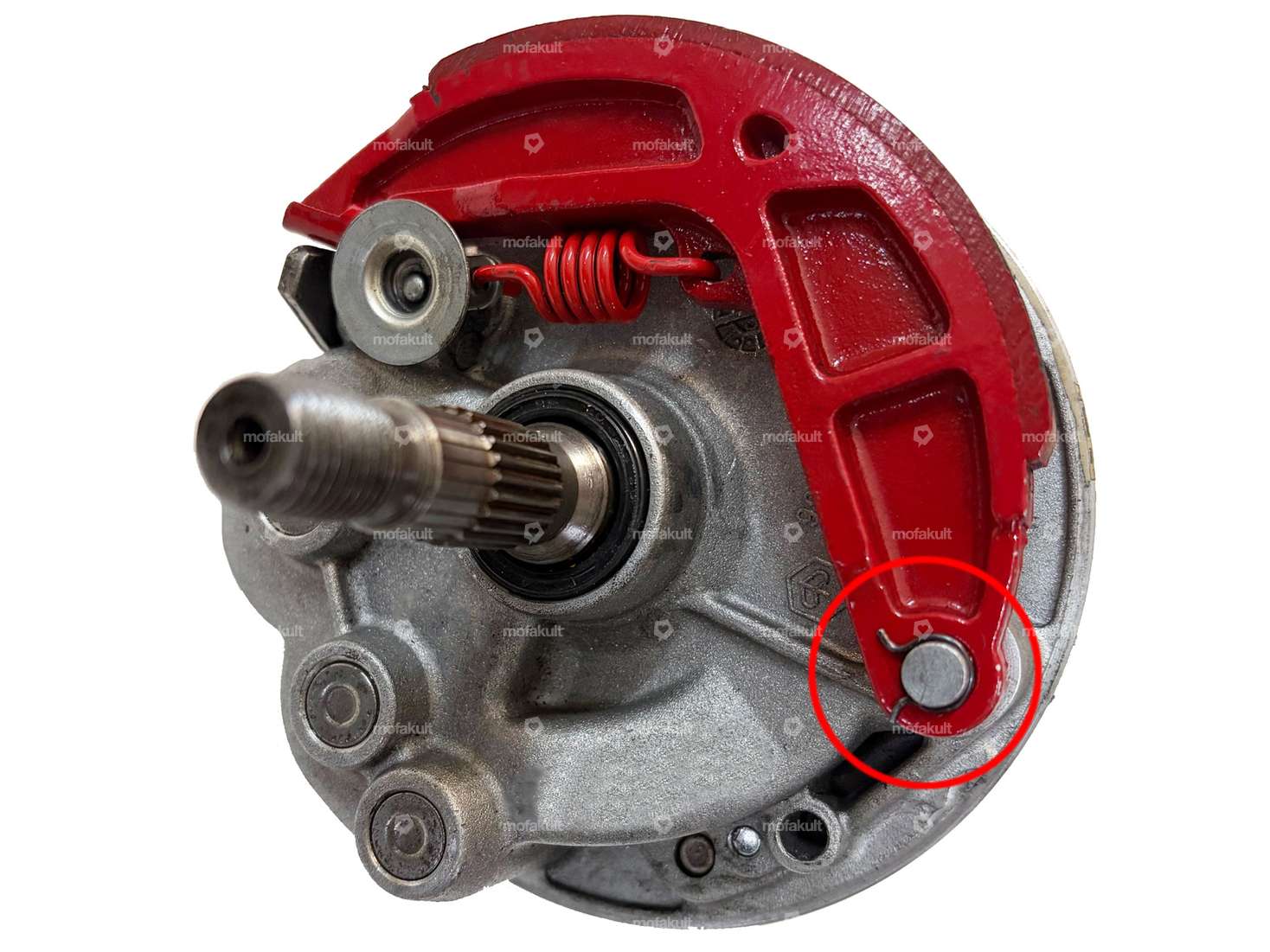 swiing® revival Sicherung Bremsbelag hinten (Omega-Feder) | Piaggio Ciao, SI, Bravo, Boxer Carousel Image 2