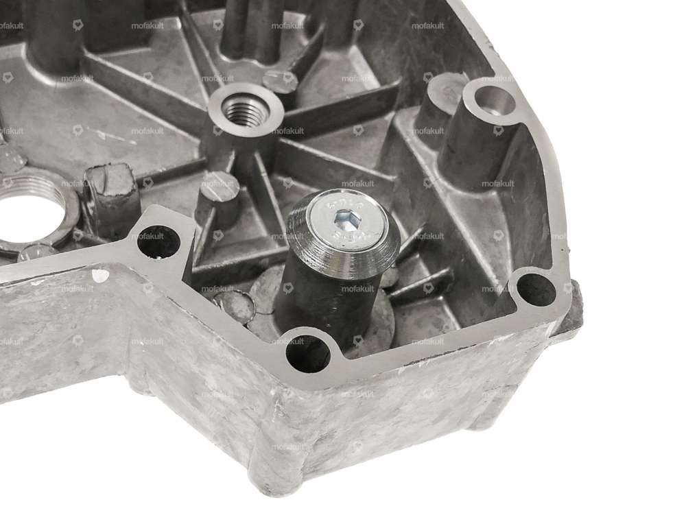 66HEROES Calotta albero avviamento "Puch" nichelata | Puch Z50 Carousel Image 6