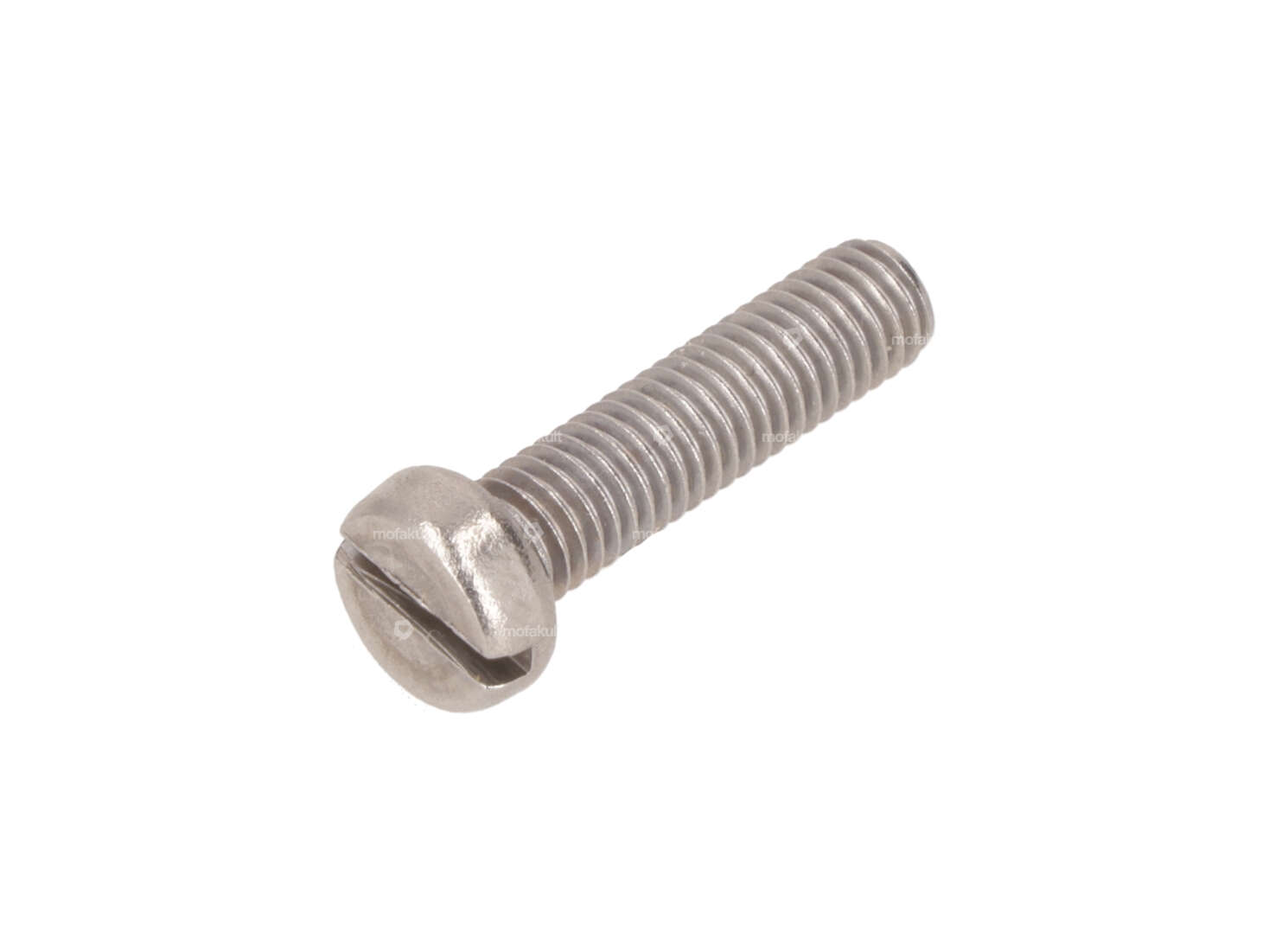 Vite M5x20 testa cilindro con intaglio in acciaio inox Carousel Image 1