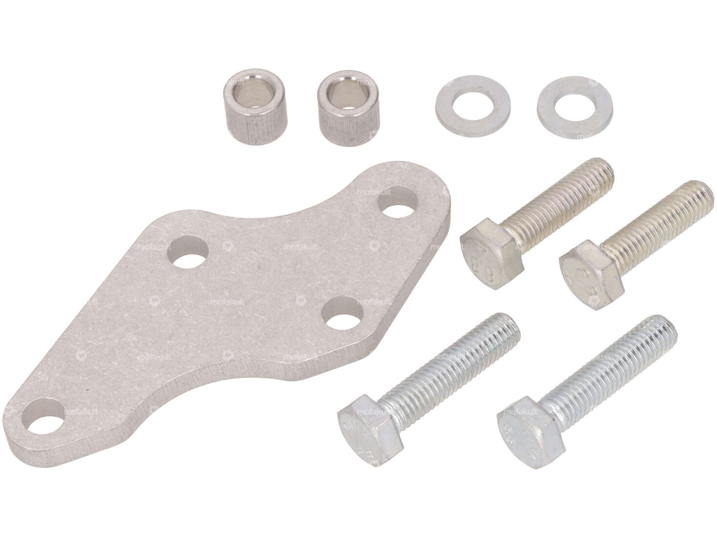 Aufnahmeplatte Scheibenbremse EBR Gabel Carousel Image 1