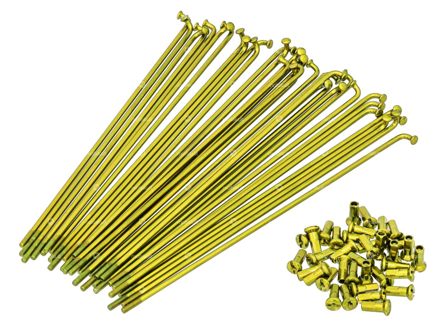 GPO 19" Speichen-Set inkl. Nippel (2.9 x 212 mm) gold Carousel Image 1