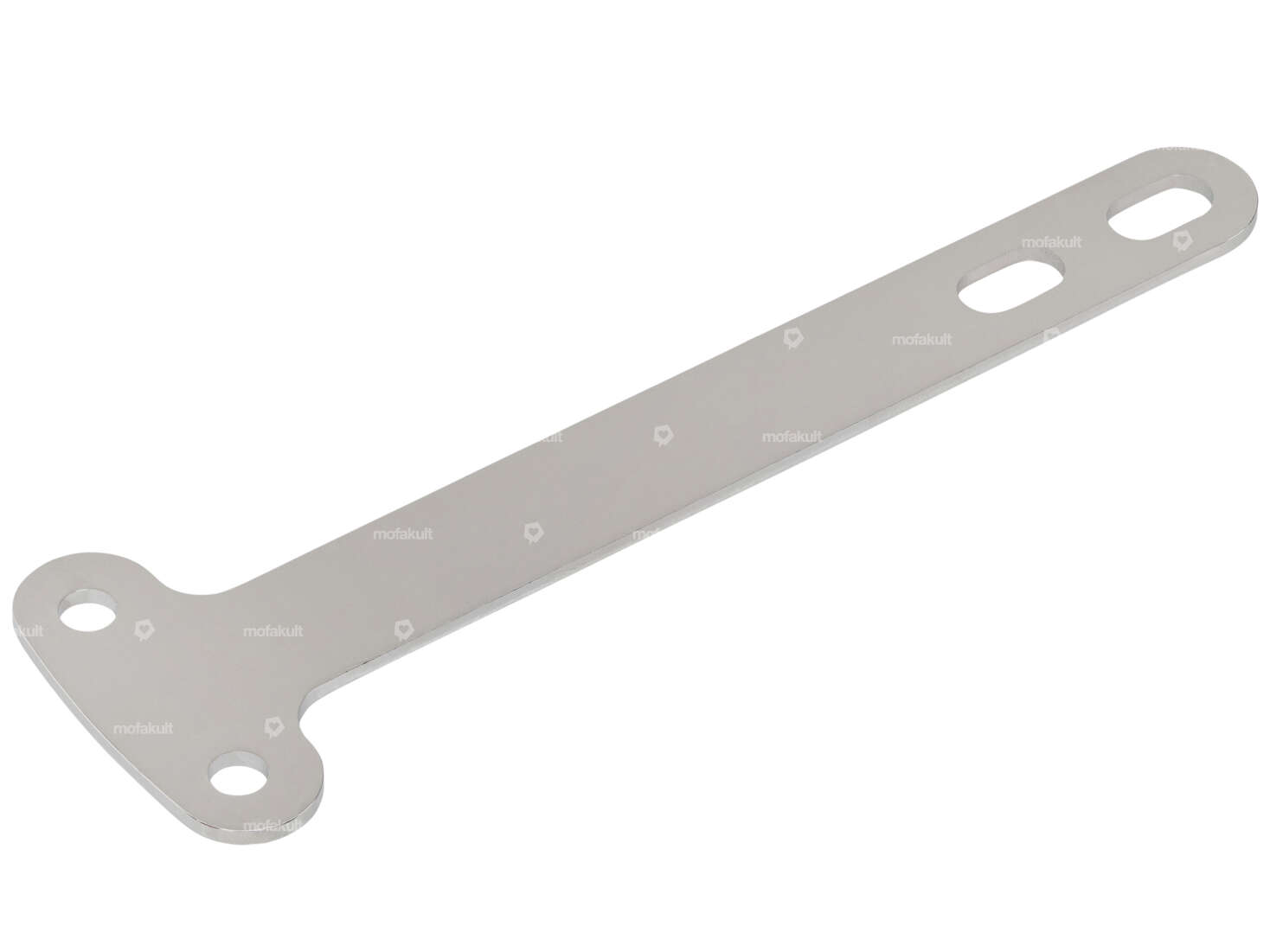 swiing® ingenious mudguard strut 17" Inox | forcella EBR idraulica / Staco Carousel Image 1