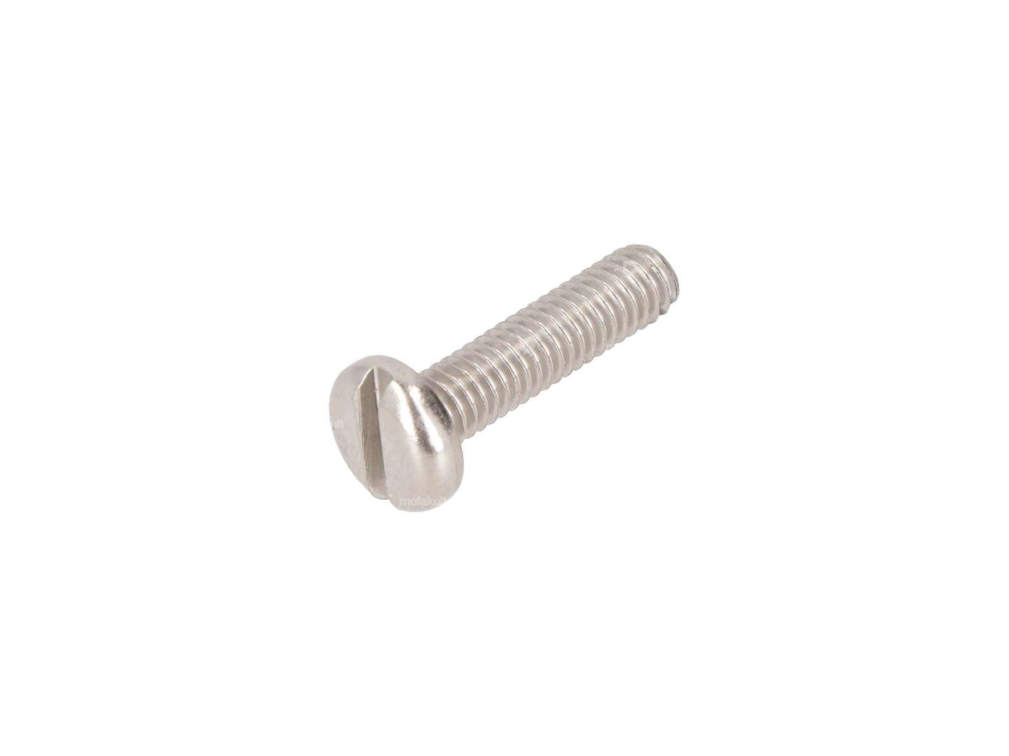 Vite M4x16 a testa bombata con asola, in acciaio inossidabile Carousel Image 1