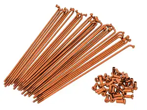 Set di raggi GPO 19" incl. nipplo (2,9 x 212 mm) arancione Set di raggi GPO 19" incl. nipplo (2,9 x 212 mm) arancione