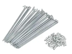 Set di raggi con nipplo (2,9 x 160 mm) in acciaio zincato Set di raggi con nipplo (2,9 x 160 mm) in acciaio zincato