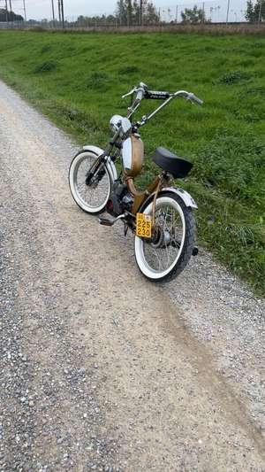 Harder würded jetz timsl segä Harder würded jetz timsl segä