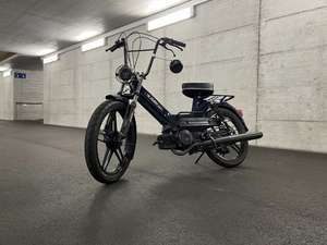 bluebeast.maxi bluebeast.maxi