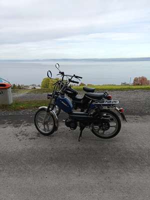 Immagine del profilo