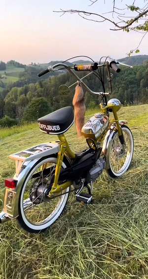 Immagine del profilo