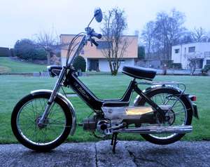 Black Pearl 🎱🎱 Black Pearl 🎱🎱