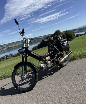 Poliniiiiiiiiii!!! Poliniiiiiiiiii!!!