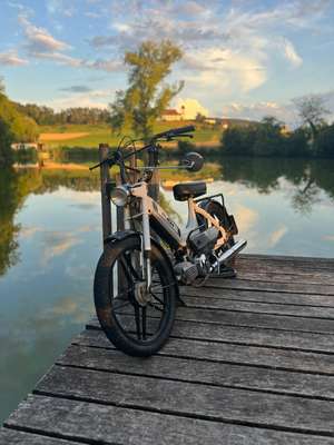 Maxi Luis Br. (Signalweiss) Maxi Luis Br. (Signalweiss)