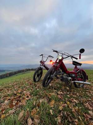 Red Monster Red Monster