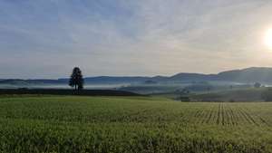 Immagine del profilo