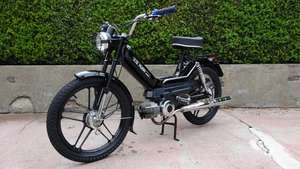 Black & Black Black & Black