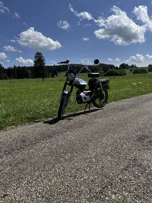 Immagine del profilo