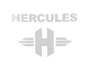 swiing® revival sticker reggisella "Hercules" trama foil bianco swiing® revival sticker reggisella "Hercules" trama foil bianco