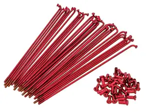 Set di raggi GPO 19" incl. nipplo (2,9 x 212 mm) rosso Set di raggi GPO 19" incl. nipplo (2,9 x 212 mm) rosso