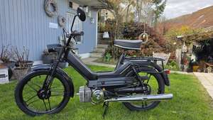 Immagine del profilo