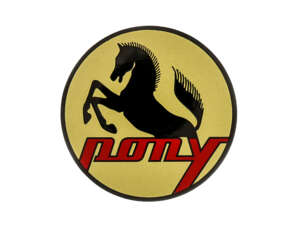 Serbatoio Pony Crest Sachs Ø 48 mm Serbatoio Pony Crest Sachs Ø 48 mm