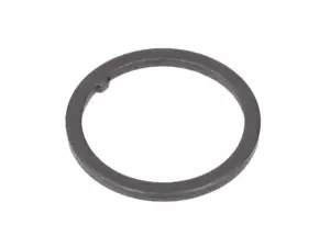 Nasenscheibe diversegabeln Nasenscheibe diversegabeln