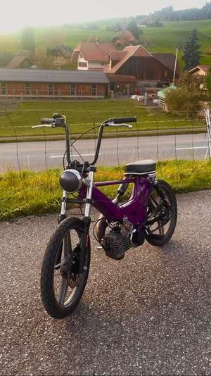 Purple Beast Purple Beast