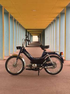 Erste Liebe Erste Liebe