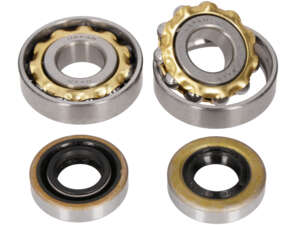 NSK Kurbelwellenlager-Set | Sachs 503 2AL, 2BL NSK Kurbelwellenlager-Set | Sachs 503 2AL, 2BL