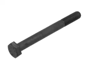 Bullone M10x100 (10,9) montaggio forcellone | Pony Cross 521 (P8022) Bullone M10x100 (10,9) montaggio forcellone | Pony Cross 521 (P8022)