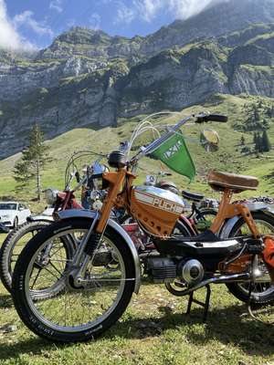 Looking for Freedom Looking for Freedom