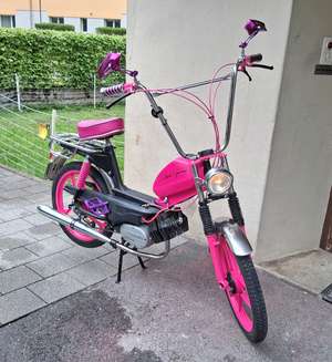 The Pink Pony The Pink Pony