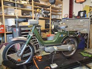 Mario's Boxer Mario's Boxer