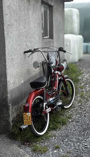 blöchi sini hürbe blöchi sini hürbe