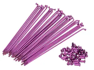 Set di raggi GPO 19" incl. nipplo (2,9 x 212 mm) rosa Set di raggi GPO 19" incl. nipplo (2,9 x 212 mm) rosa