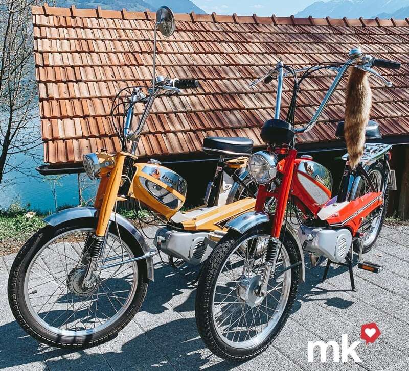 Die Modelle Pony GTX und Cross Die Modelle Pony GTX und Cross