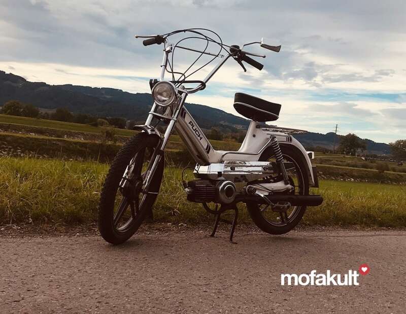 Maxi S von Felix Maxi S von Felix